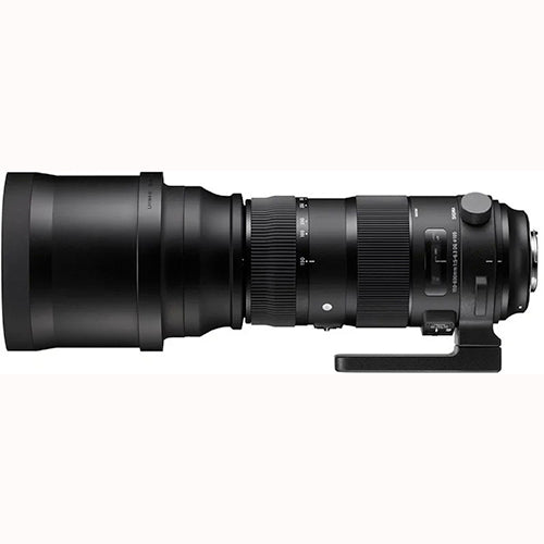 Sigma 150-600mm f/5-6.3 DG OS HSM Sports Lens for Nikon – High-Performance Super Telephoto Zoom (Used)